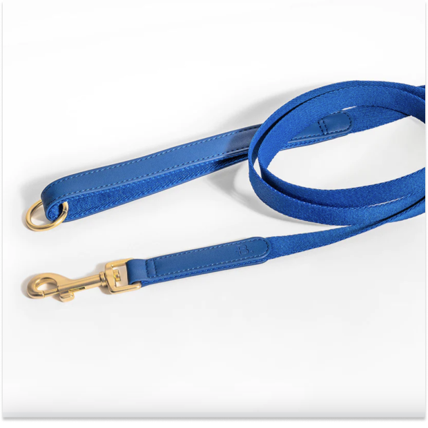 Blue Leash