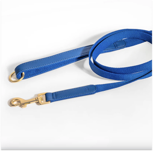 Blue Leash