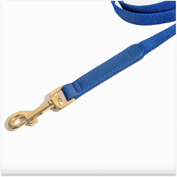 Blue Leash