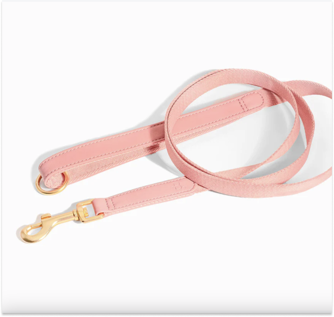 Pink Leash