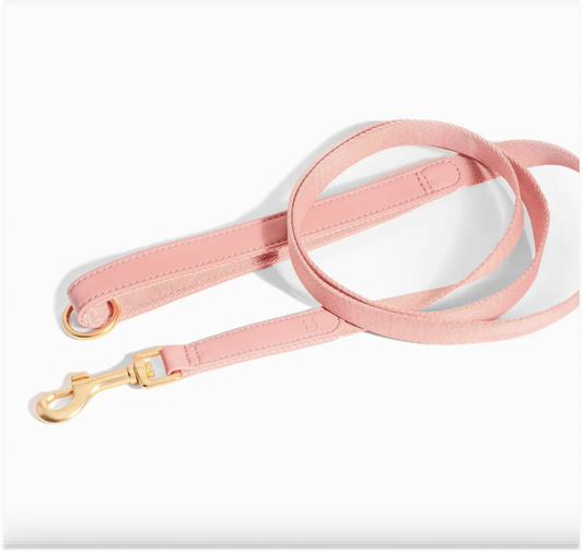 Pink Leash